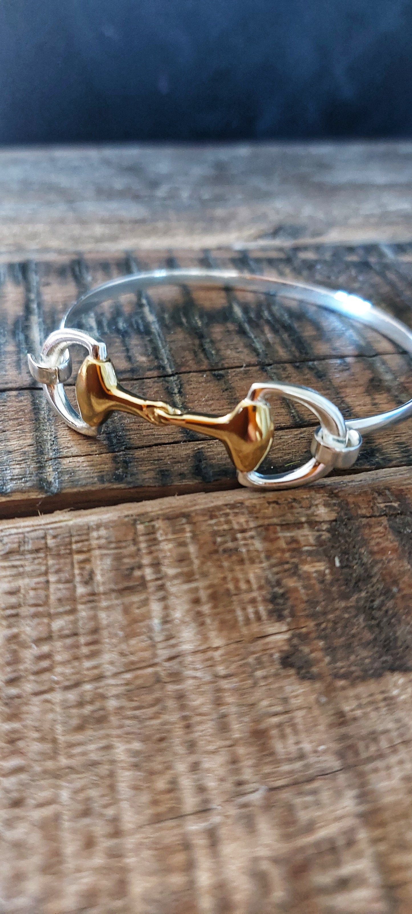 Silver & Gold Snaffle Bangle