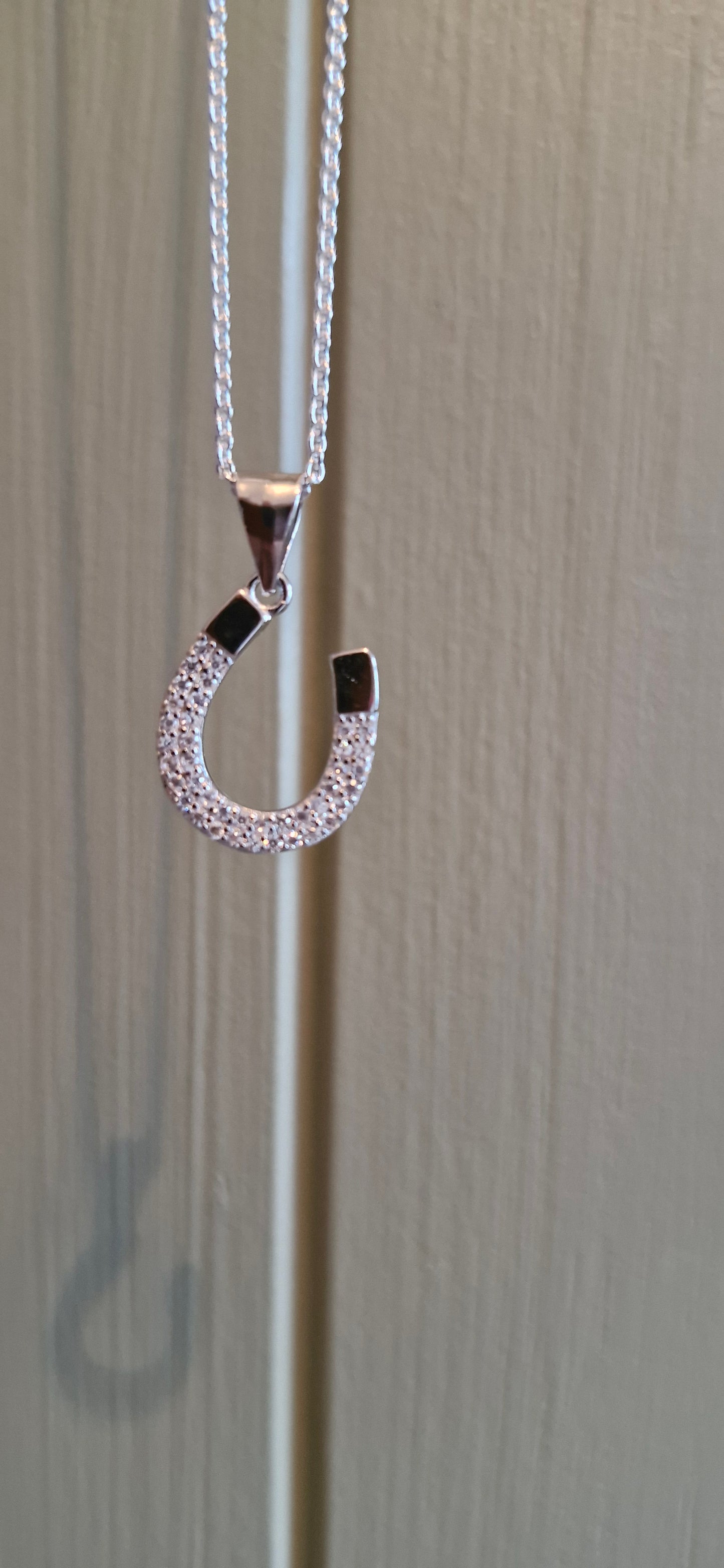 Silver Sparkle Horseshoe Necklace