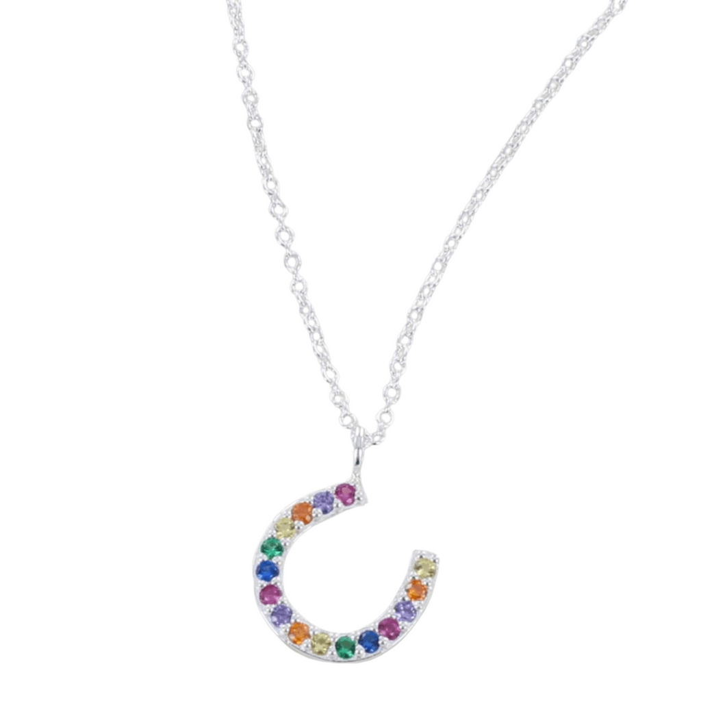 Rainbow Crystals & Sterling Silver Horseshoe Necklace