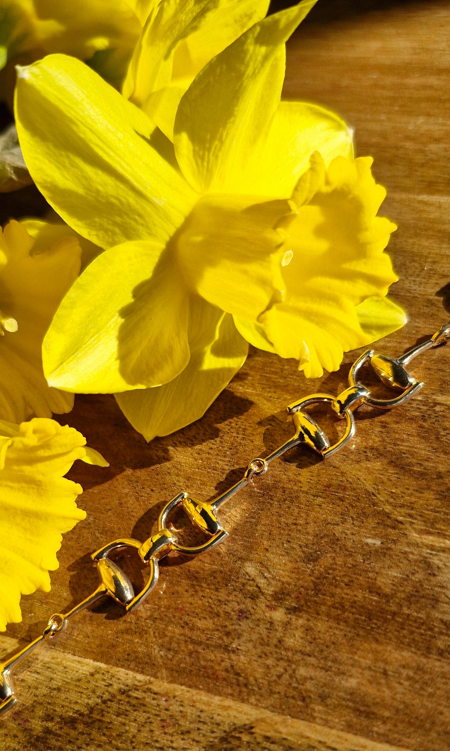 Snaffle Bit Bracelet Dainty Gold