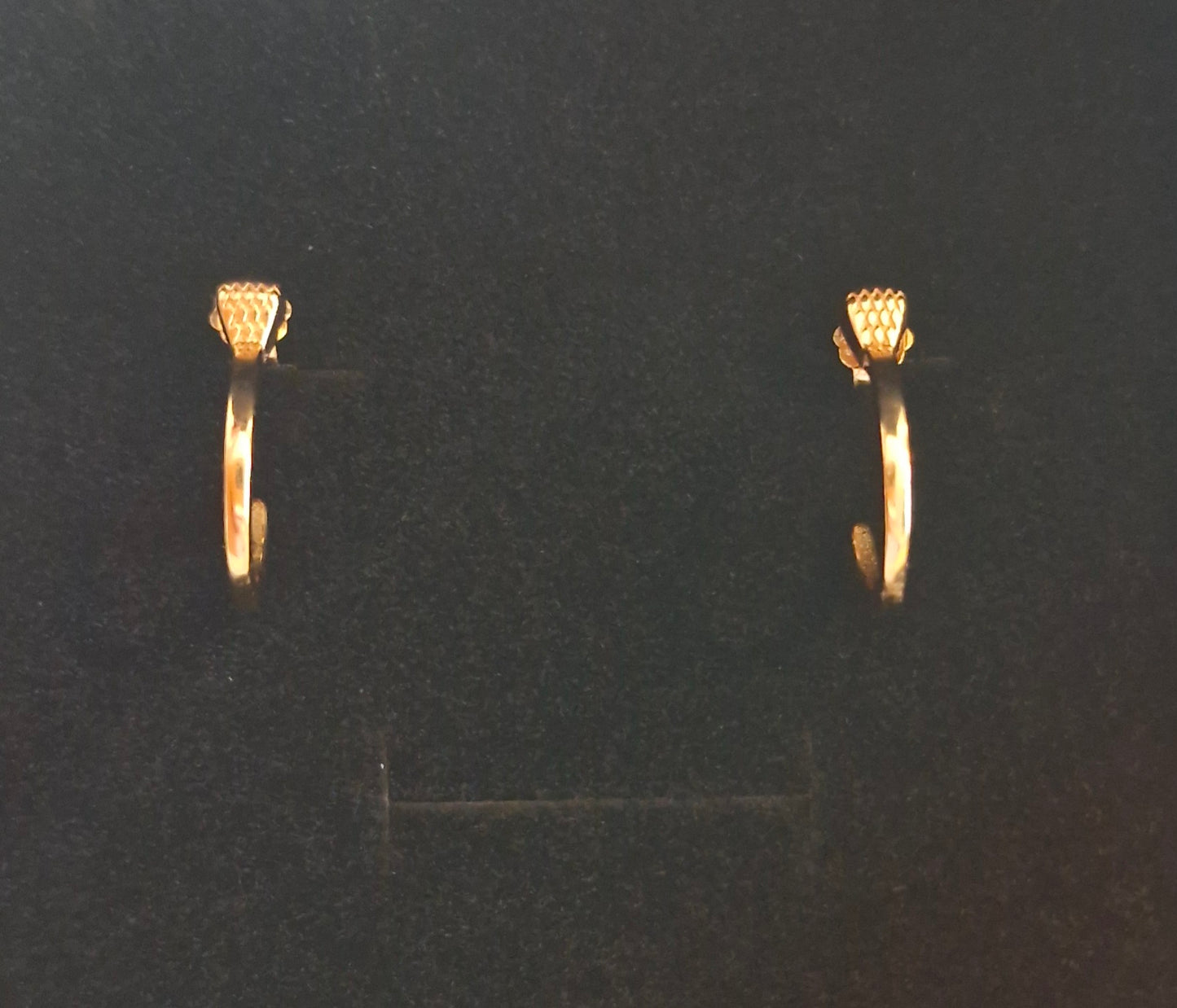 Horseshoe Nail Earrings Gold