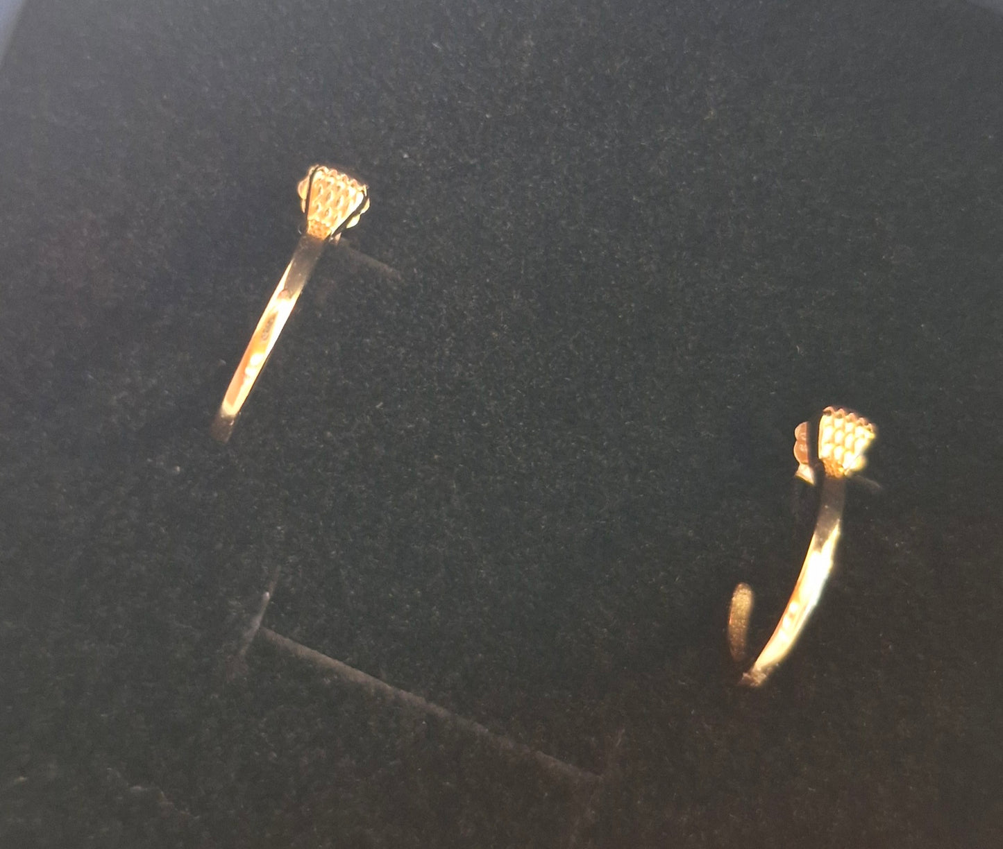 Horseshoe Nail Earrings Gold
